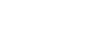 logo-voge voge italy padana sviluppo